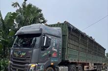 Hà Tĩnh khởi tố lái xe ô tô dừng, đỗ xe gây tai nạn chết người