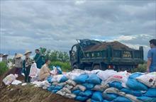 Hải Phòng khẩn trương triển khai các phương án ứng phó bão số 1 Maysak