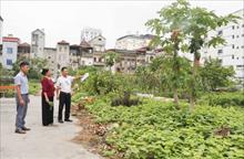 Băc Ninh: 61 hộ dân phường Võ Cường ở sắp được giao đất sau 24 năm chờ đợi