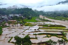 Mưa lũ gây sạt lở, giao thông Sơn La thiệt hại nặng