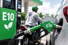 Hà Nội triển khai lộ trình áp dụng tỷ lệ phối trộn nhiên liệu sinh học với nhiên liệu truyền thống tại Việt Nam
