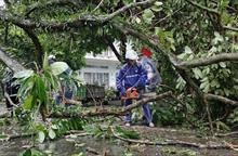 Nỗ lực bảo đảm giao thông thông suốt, khẩn trương khắc phục hậu quả bão số 1