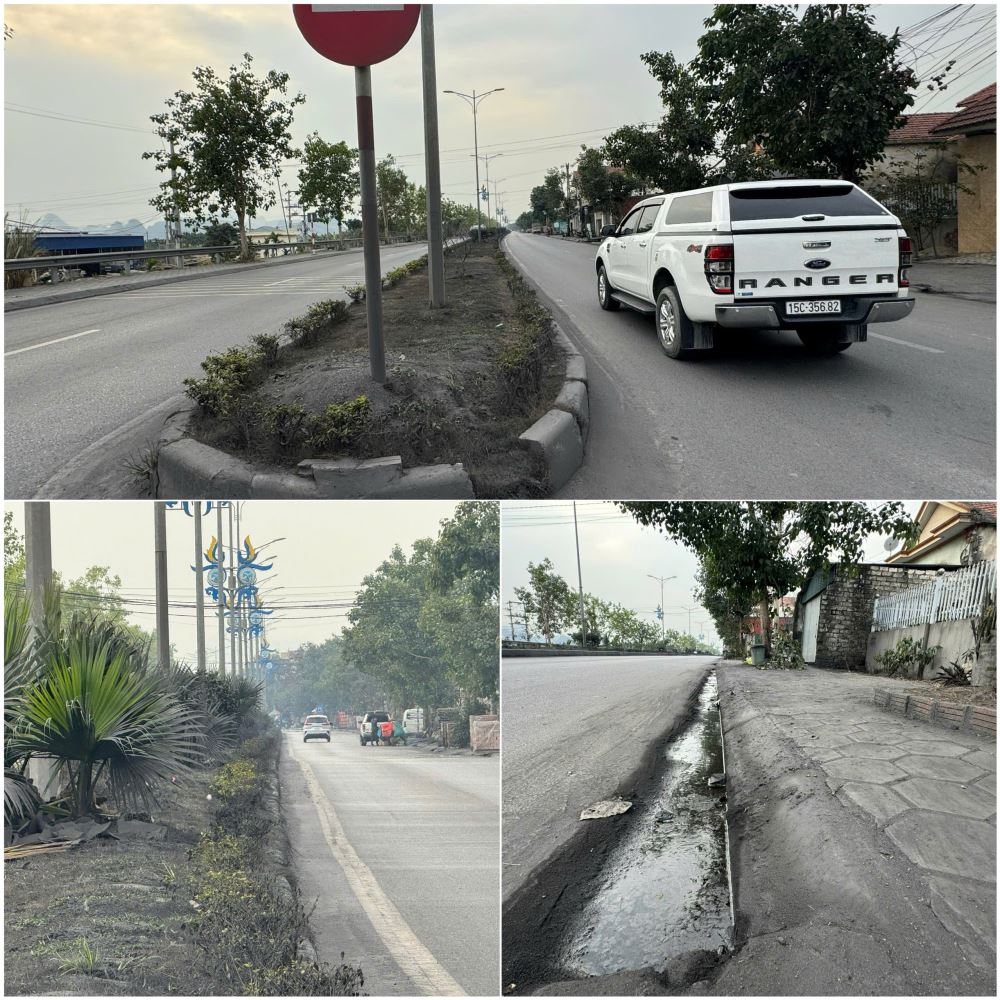 Nhiều cây xanh sống trên vỉa hè đều bám bụi than đen kịt tại tuyến đường qua xã Bạch Đằng, TP Thuỷ Nguyên