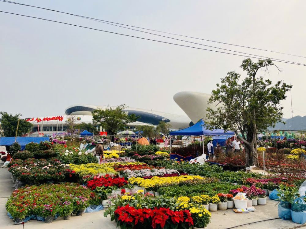 Hội chợ hoa Hạ Long tại sân triển lãm ngoài trời khu vực Cung Quy hoạch, Hội chợ triển lãm tỉnh, Quảng trường 30/10 (phường Hồng Hải) có quy mô lớn nhất trên địa bàn thành phố.
