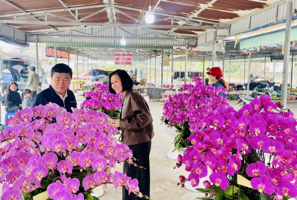 Người dân lựa chọn hoa lan tại chợ hoa xuân xã Lê Lợi.