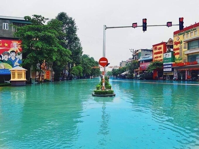 Giải bơi lội cấp thành phố