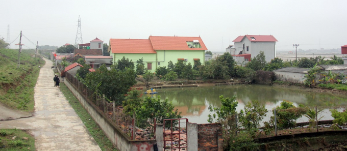 Ao cá ven chân đê sông Thương- nơi phát hiện những khối gỗ lim cổ
