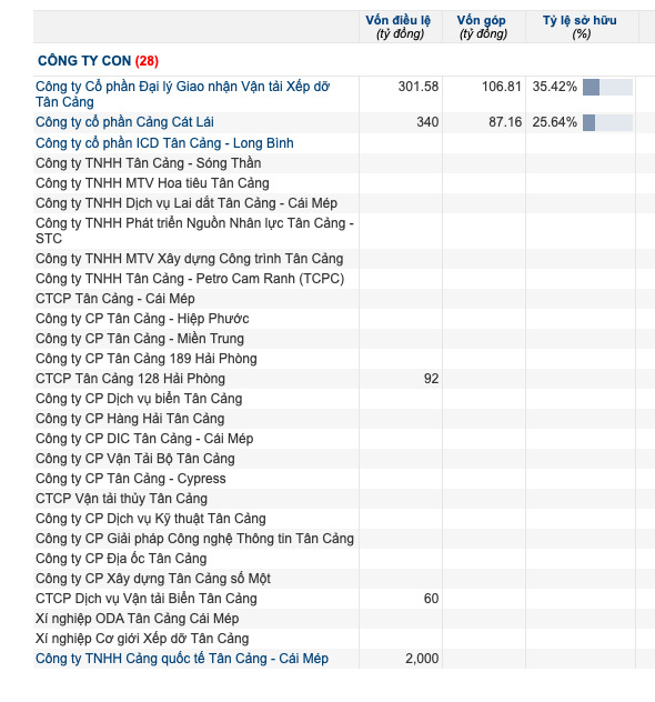 Cổ đông lớn nhất của doanh nghiệp này là Công ty TNHH MTV - Tổng Công ty Tân Cảng Sài Gòn - doanh nghiệp có hệ thống công ty thành viên hoạt động mạnh trong lĩnh vực dịch vụ cảng biển