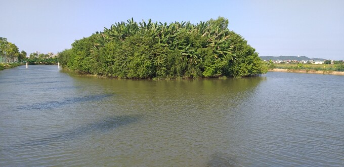 Đây còn là nơi chim cò đến trú ngụ