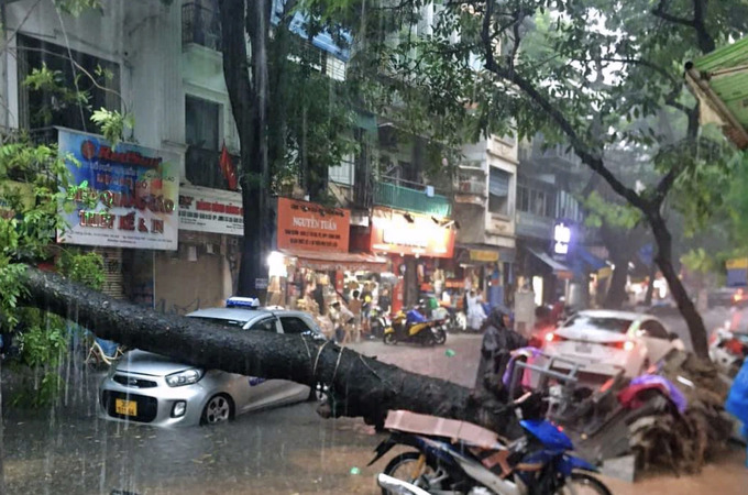 Mưa lớn, cây đổ vào xe taxi