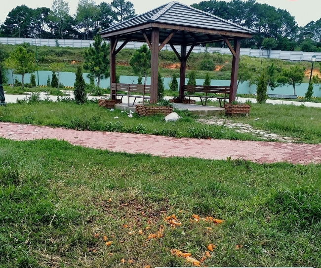 Công viên văn hóa, giải trí vẫn vắng tanh, vắng ngắt ngay trong những ngày Tuần lễ Du lịch Vàng 2022