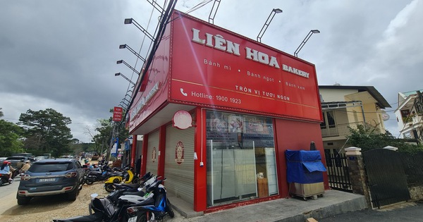 Bà T.T.Y.N, đại diện chủ cơ sở bánh mì Liên Hoa tại Phan Chu Trinh, tỉnh Lâm Đồng bị xử phạt tới 102 triệu đồng. Ảnh Internet