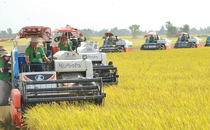 Theo thống kê thu thập từ 27 công ty niêm yết trong lĩnh vực nông nghiệp, doanh thu tăng nhẹ 7% từ năm ngoái lên 18,7 nghìn tỷ đồng năm nay