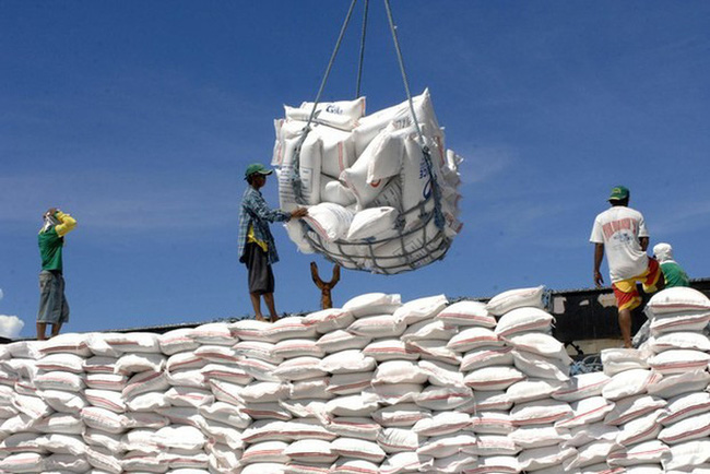 Năm 2021, Việt Nam nhập khẩu 999.750 tấn gạo, trong đó hơn 72% là gạo Ấn Độ (719.970 tấn)