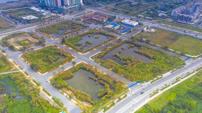 Lý do khó khăn doanh nghiệp nêu đều không thuộc trường hợp được gia hạn nộp thuế theo quy định của Luật Quản lý thuế. Ảnh Internet