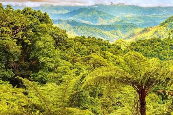 Nơi đây, sự giao hòa của rừng nguyên sinh Khe Nước Trong, sông Rào Chân, cùng với những ngọn núi cao trên 1.000 m và đa dạng với nhiều loài động thực vật tạo nên một bức tranh thiên nhiên tuyệt đẹp.