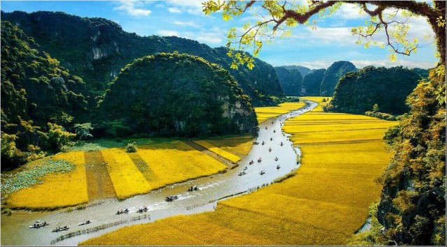 Ninh Bình sẵn sàng đón chào du khách gần xa với Tuần Du lịch 'Sắc vàng Tam Cốc - Tràng An'