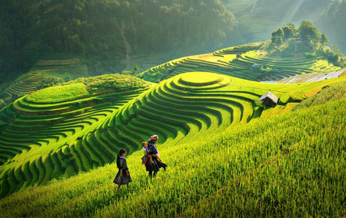 Những thửa ruộng bậc thang tuyệt đẹp tại Sapa
