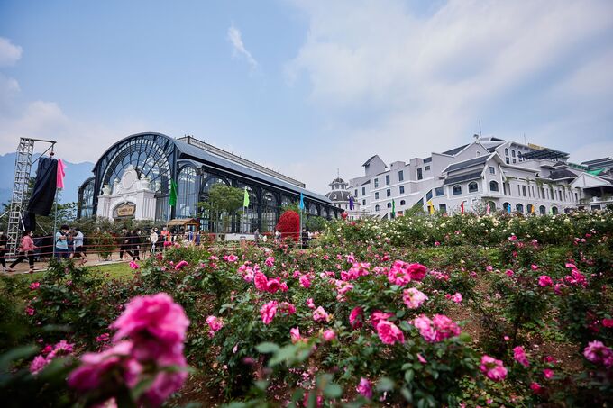 Hàng nghìn đóa hồng vươn sắc thắm trong thung lũng hoa khiến cung đường đua 'Vó ngựa trên mây' mang vẻ đẹp lãng mạn, thi vị