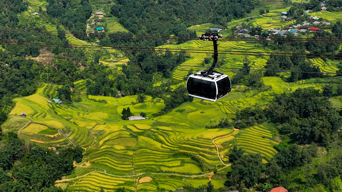 Cáp treo Fansipan đi qua thung lũng Mường Hoa.