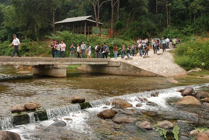 Đến với Khe Rỗ du khách sẽ có dịp chiêm ngưỡng bức tranh thiên nhiên muôn màu sống động, từ dây leo chằng chịt, gốc cây hình thù cổ quái cho đến chùm hoa phong lan khoe sắc