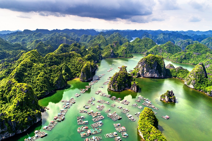 kinh-nghiem-di-vinh-lan-ha-cho-nguoi-di-lan-dau-01-1648494478