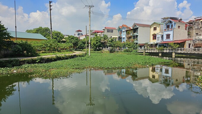 Thành được bao bọc bởi lớp hào rộng và sâu.