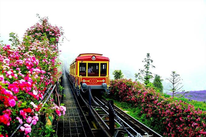 Với cảnh quan như thế sẽ tạo nên điểm nhấn đặc thù, giúp hành khách dễ nhận diện các ga, cung đường, miền quê theo giống cây, loài hoa