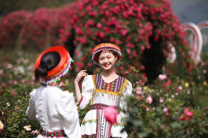 Thung lũng hoa hồng