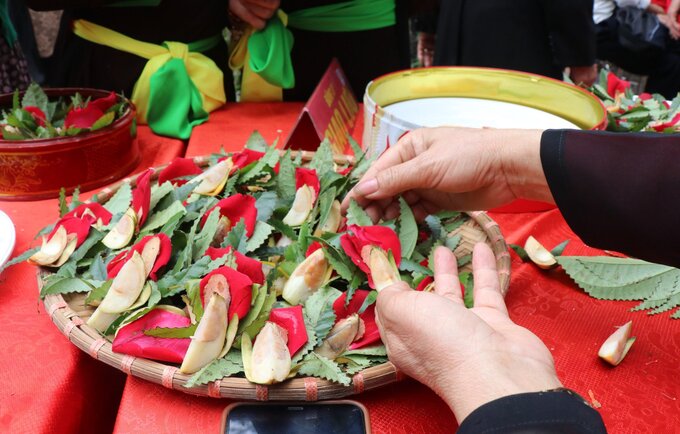 Trầu têm cánh phượng là nét đặc trưng của người Quan họ.