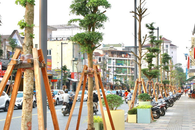 Phố đi bộ Hai Bà Trưng còn là không gian tổ chức các hoạt động giao lưu văn hóa, nghệ thuật, âm nhạc đường phố...
