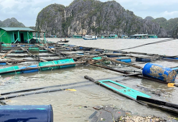 Cùng với các địa phương khác của Hải Phòng, đảo Cát Bà đã phải hứng chịu nặng nề từ cơn bão số 3. 
