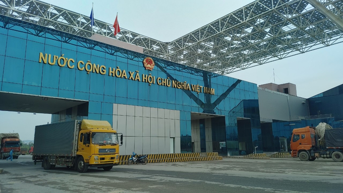 Tính từ ngày 1/1 đến hết ngày 20/2, tổng trọng lượng hàng hóa xuất nhập khẩu qua cửa khẩu quốc tế Móng Cái đạt 160.064 tấn