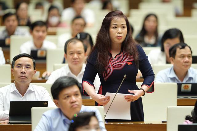 Đại biểu Vũ Thị Lưu Mai: Cần hình thành cơ chế đặc thù để thu hút đầu tư nước ngoài - Ảnh: VGP/L.S