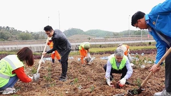 Trên 8000 cây xanh sẽ được toàn thể cán bộ công nhân viên của Công ty 909 trồng tại khu vực nút giao tuyến cao tốc CT06 Hải Phòng – Hạ Long – Vân Đồn – Móng Cái