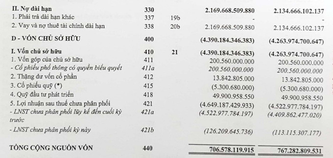 Trích báo cáo tài chính soát xét bán niên 2022