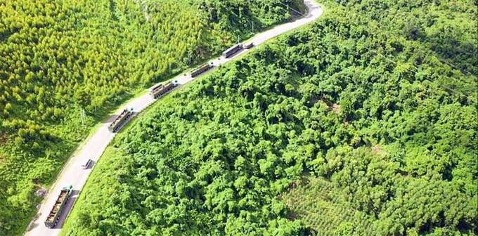 Vận chuyển gia súc từ cảng Quy Nhơn (Bình Định) đến trang trại Ia Puch (Gia Lai) theo tuyến Quốc lộ 19