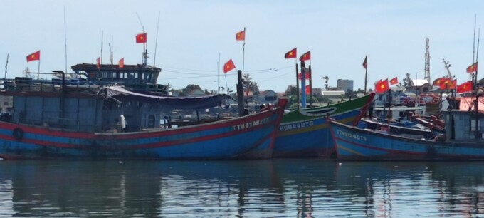 Các tàu thuyền của ngư dân neo đậu tại cảng cá Phường Thuận An, TP Huế. Ảnh: Công Thanh
