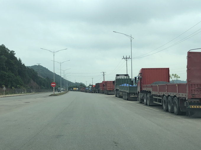 Xe tải xếp hàng dài không thể vào cảng