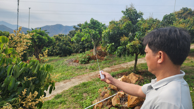 Anh Nguyễn Sinh Thực, bản Hưng Hà, xã Chiềng Khương, chăm sóc vườn nhãn giống