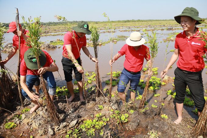 SeABank cũng đã triển khai hàng loạt hành động thiết thực với mong muốn bảo vệ môi trường và hướng tới phát triển bền vững
