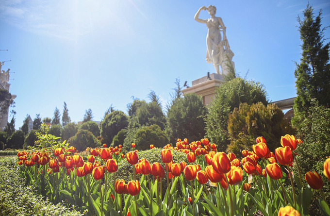 Đến với khu du lịch Sun World Ba Na Hills dịp Tết Nguyên đán Giáp Thìn, du khách sẽ được hòa mình vào không gian đại tiệc sắc màu với muôn hoa rực rỡ
