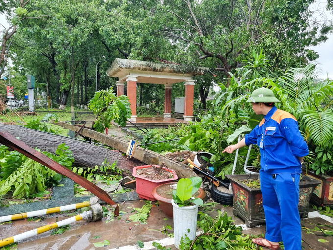 Sau cơn bão số 3 đi qua nhiều cột điện đã bị gãy đổ.