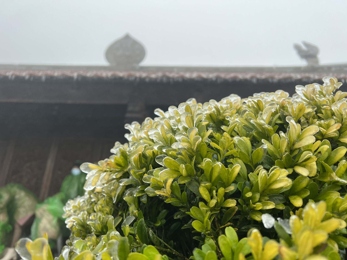 banggiaphanxifang11-1648883230381379334388