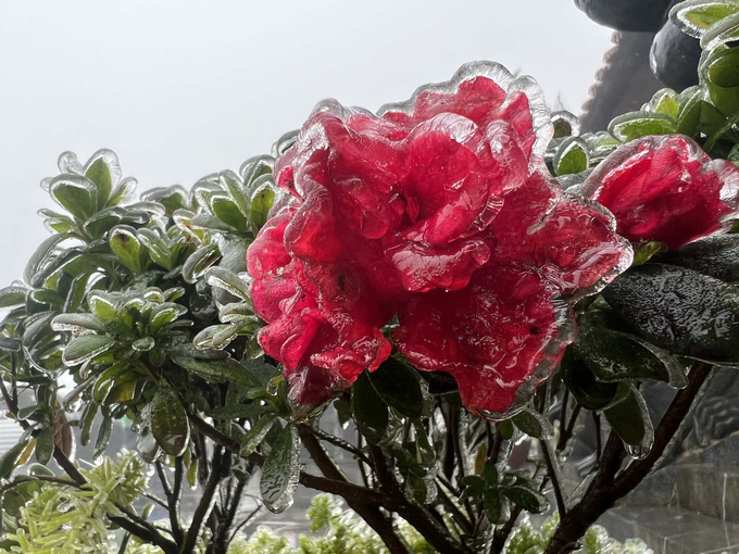 banggiaphanxifang8-16488830102742018727777