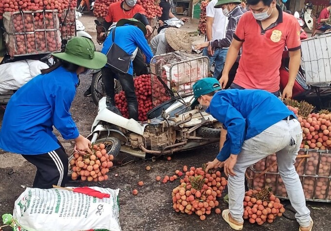 Thanh niên tình nguyện giúp người dân nhặt vải rơi trên đường do bị đổ xe.