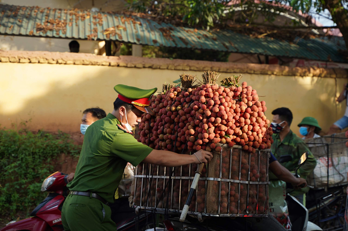 Lực lượng công an địa phương cũng có mặt tại các điểm tắc nghẽn để giúp phân luồng và hỗ trợ người dân trở vải đi tiêu thụ.