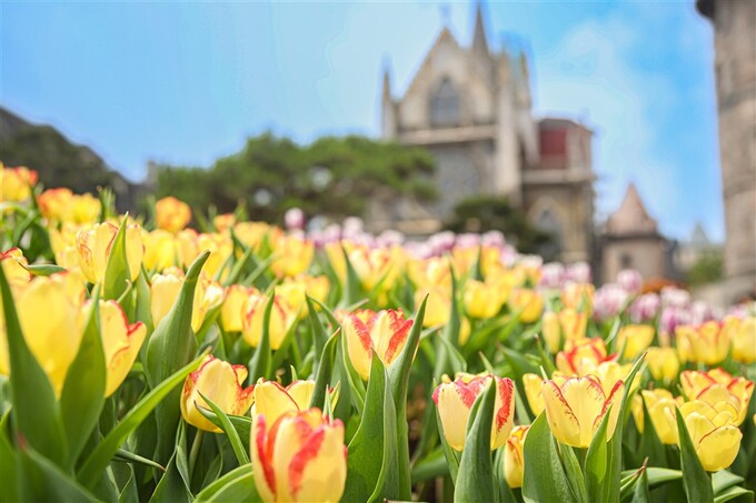 Đến chơi Sun World Ba Na Hills trong tháng 3, du khách Quảng Nam – Đà Nẵng không chỉ được hưởng ưu đãi khủng về giá, mà còn được tận hưởng nhiều trải nghiệm vô cùng giá trị tại đỉnh núi Chúa
