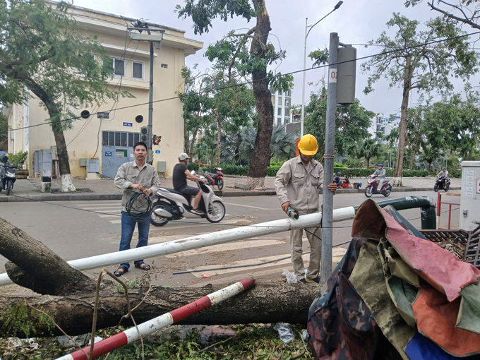 Điện4
