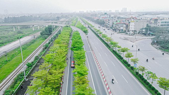 Những cây Bàng lá nhỏ phát triển đồng đều, thẳng tắp tạo nên vẻ thu hút cho nút giao hiện đại này.